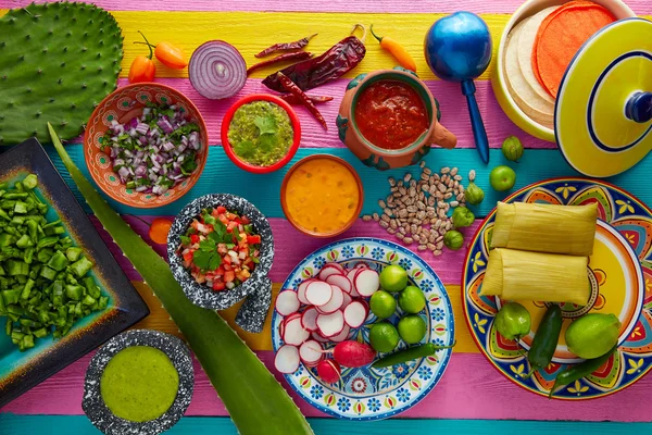 Mélange alimentaire mexicain avec sauces nopal et tamale — Photo