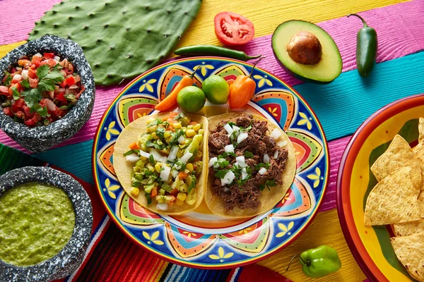 Mexikanska platillo tacos barbacoa och vegetarisk — Stockfoto