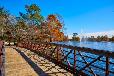 Houston Hermann park Mcgovern Gölü
