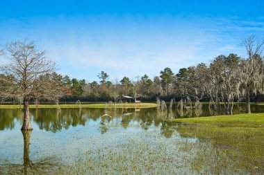 Tomball Burroughs park in Houston Texas clipart