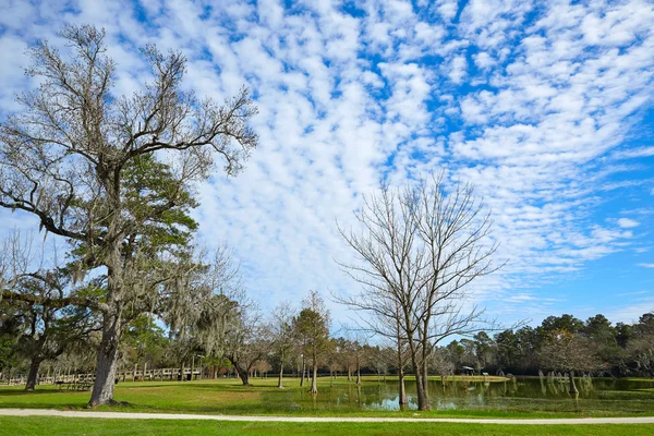 Tomball Burroughs park w Houston w Teksasie — Zdjęcie stockowe