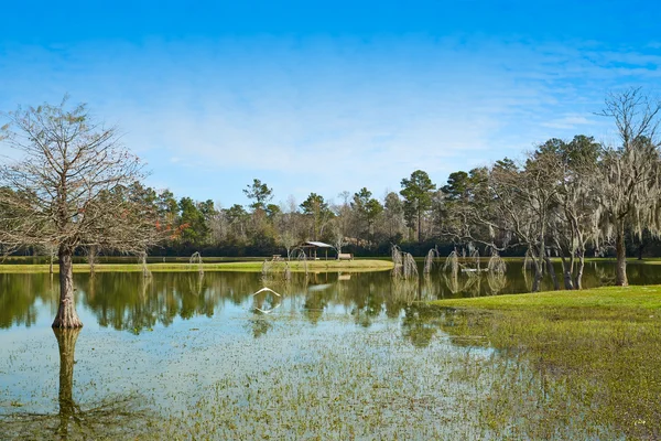 Tomball Burroughs Park in Houston Texas — Stockfoto