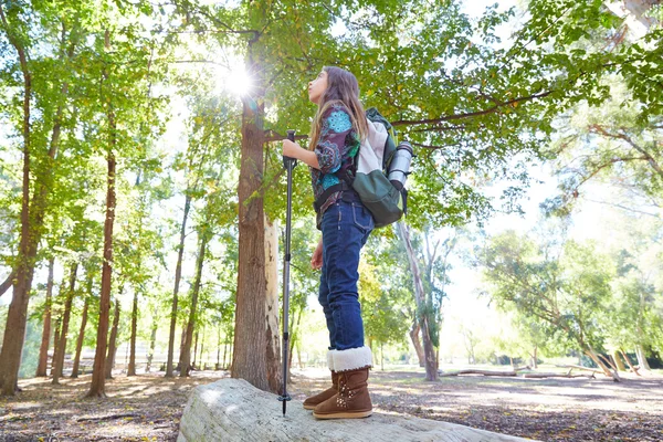 Caminhante menina com caminhadas pólo e mochila na floresta — Fotografia de Stock