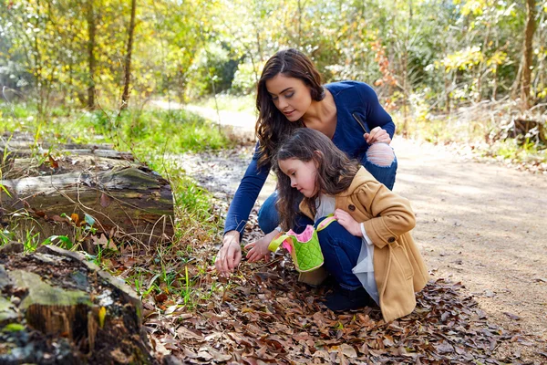 Madre figlia in un parco raccogliendo piante di trifoglio — Foto Stock