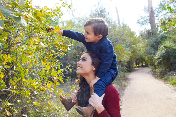 Gamin garçon assis sur mère épaules cueillette congé — Photo