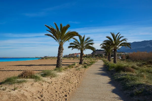 Denia Las Marina beach palm ağaçlar İspanya — Stok fotoğraf