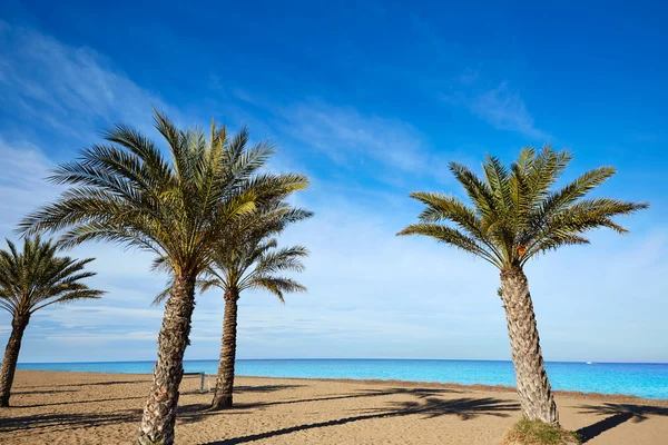 Denia Las Marinas beach palm trees in Spain — Stock Photo, Image