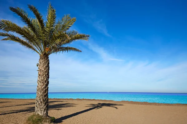 Denia Las Marinas beach palmer i Spanien — Stockfoto