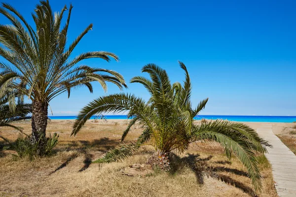 Las Marinas beach in Denia at alicante spain — Stock Photo, Image