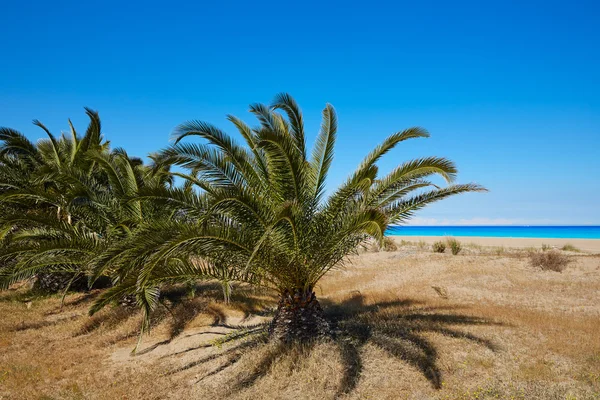 Strand van Las Marinas in Denia in alicante Spanje — Stockfoto