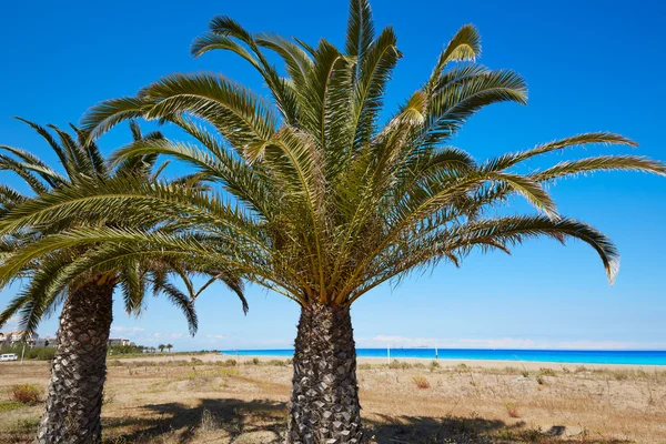 Пляжу Лас-Марінас напрямку Denia в Аліканте, Іспанія — стокове фото