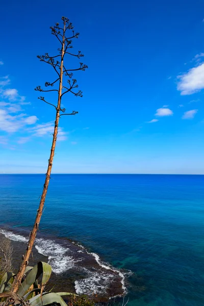 Denia Las rotas strand in de buurt van Sant Antonio Kaap — Stockfoto