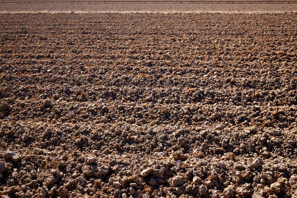 Albufera rijstvelden gedroogd veld in Valencia — Stockfoto