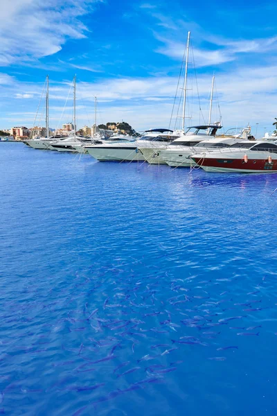 Denia haven Marina in Middellandse Zee Spanje — Stockfoto