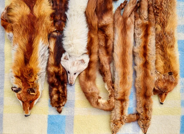 Fox cachecóis de pele reais no mercado ao ar livre em uma fileira — Fotografia de Stock