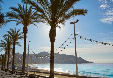 Benidorm Levante beach Alicante İspanya