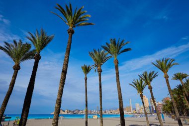 Benidorm Poniente beach Alicante İspanya