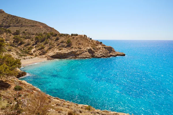 Benidorm beach Alicante Mediterranean Spain — Stock Photo, Image