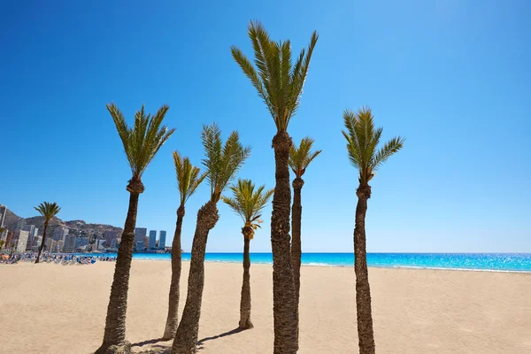 Plaży Levante w Benidorm, w Alicante, Hiszpania — Zdjęcie stockowe