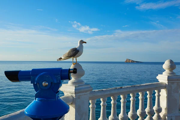 Benidorm Mirador del Castillo uitkijk Alicante — Stockfoto