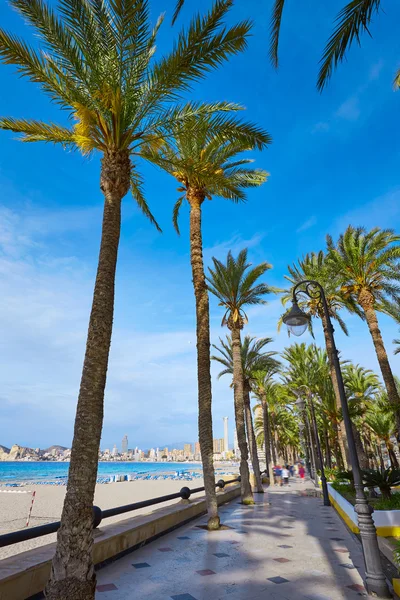 Stranden i Benidorm Poniente i Alicante Spanien — Stockfoto