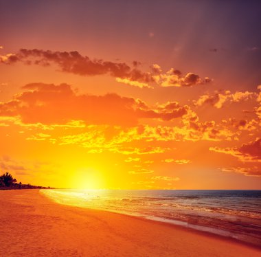 Florida bonita Bay Barefoot beach bize