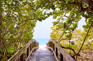 Florida bonita Bay Barefoot beach bize