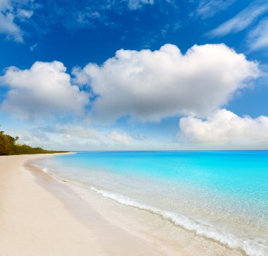 Florida Keys bize Bahia Honda Park plaj