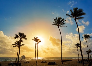 Fort Lauderdale beach gündoğumu Florida bize