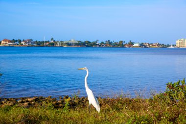 Naples Florida Marco Island view Florida US clipart