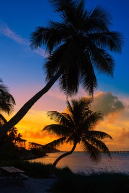 Florida Keys eski köprü günbatımında Bahia Honda
