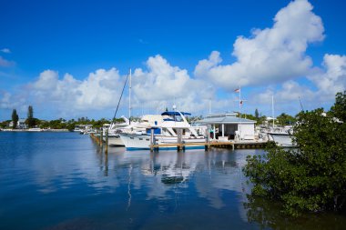 Key West Florida marina Garrison Bight Florida