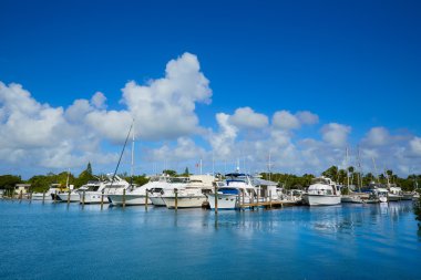 Key West Florida marina Garrison Bight Florida clipart
