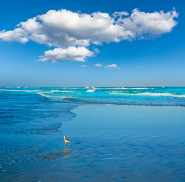 Atlantic Beach в Джексонвилле Флорида США — стоковое фото