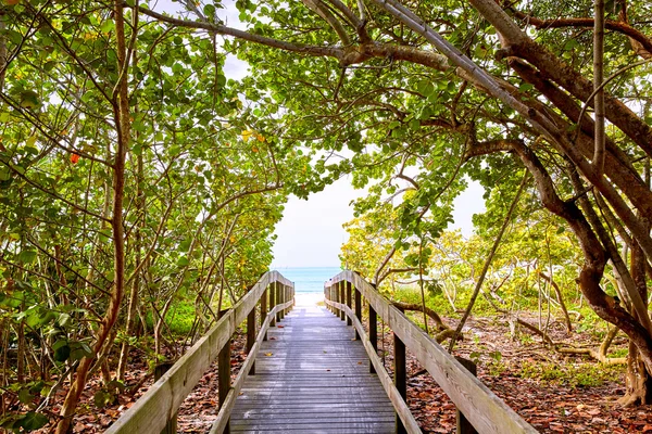 Floride bonita Bay Plage pieds nus États-Unis — Photo