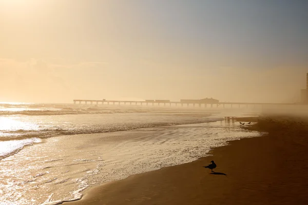 Daytona Beach in Florida with pier USA — Stock Photo, Image