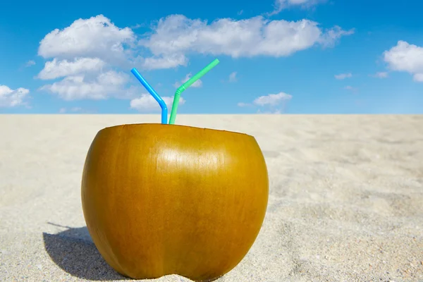 Bebida de coco com 2 palhinhas em uma praia tropical — Fotografia de Stock