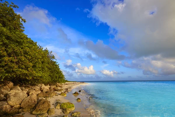 Floride Keys plage Bahia Honda Park US — Photo