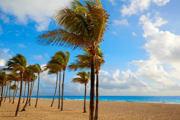 Fort Lauderdale praia nascer do sol Florida EUA — Fotografia de Stock
