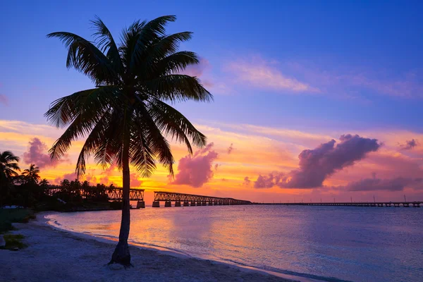 Florida schlüssel alte brücke sonnenuntergang bei bahia honda — Stockfoto