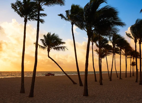 Fort Lauderdale playa amanecer Florida ES —  Fotos de Stock