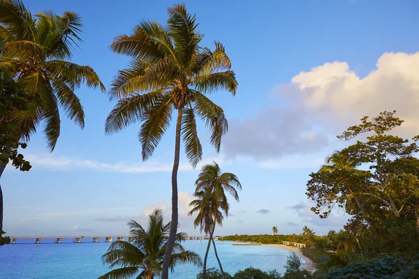 Florida Keys beach Bahia Honda Park US — Stock Photo, Image