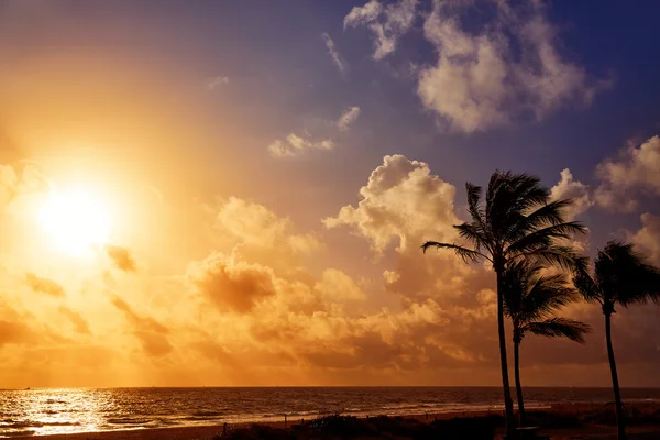 Fort Lauderdale beach sunrise Florida US — Stock Photo, Image