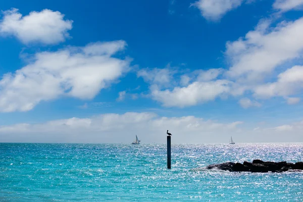 Key West beach fort Zachary Taylor Park na Florydzie — Zdjęcie stockowe