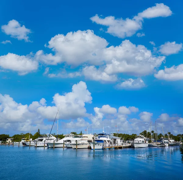 Key West Florida marina Garrison Bight Florida — Stock Photo, Image