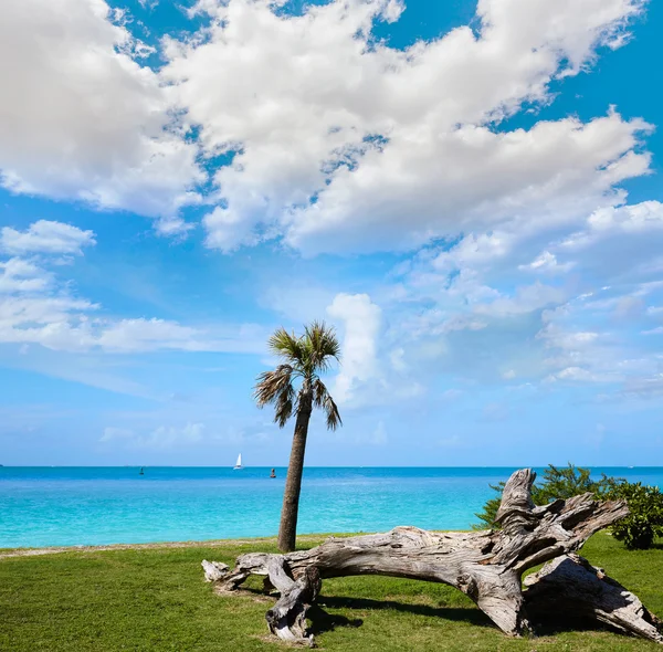 Key West beach fort Zachary Taylor Park Florida — Stok fotoğraf