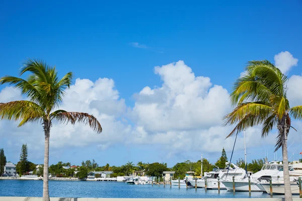 Key West Florida marina Garrison Bight Florida — Stockfoto