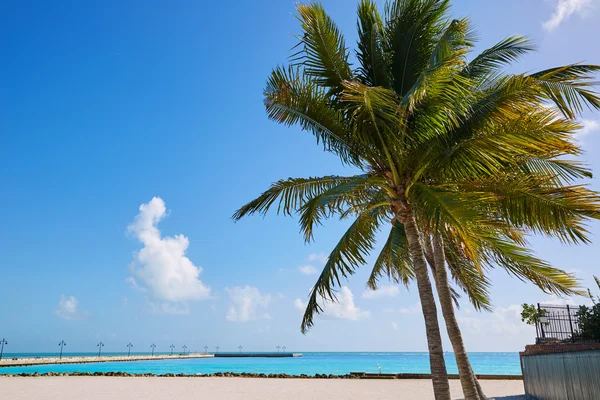 Key west na Floridě pláž handrkovat se S velký — Stock fotografie
