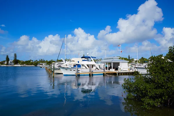 Key West Florida marina Garrison Bight Florida Stock Photo