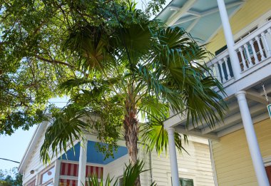 Key west Florida Şehir sokak evleri